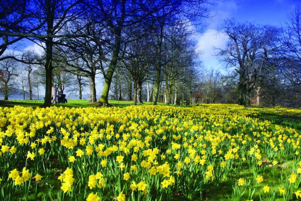 Parks, Gardens & Estates Of Dublin